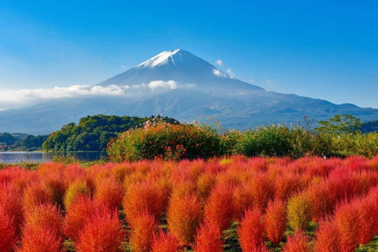 From Tokyo: Mount Fuji Full-Day Sightseeing Trip - Who Is This Tour Best For?