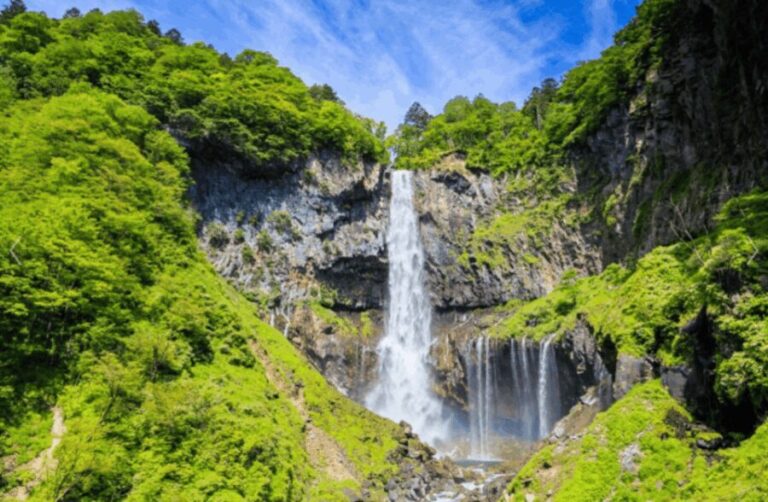 From Tokyo: Nikko Toshogu Day tour with Traditional Lunch - A Practical Breakdown of the Tour Experience