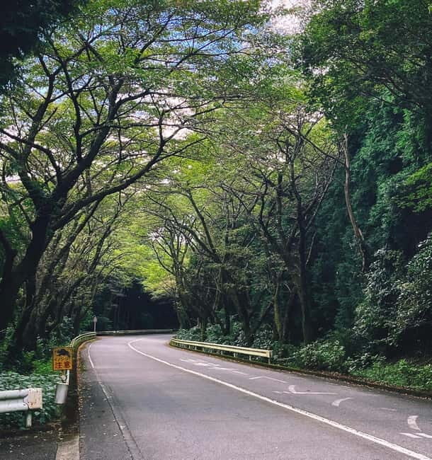 From Tokyo: Private Tour to Fuji/Hakone - Onsen, Art, Nature - What to Expect on the Day