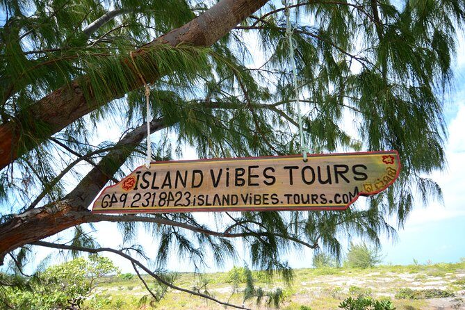Full Day Beach BBQ Lunch & Snorkeling Excursion in Grace Bay - The Experience: What to Expect on the Water