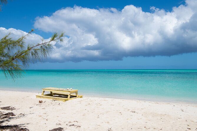 Full Day Cruise from Providenciales with Snorkeling and BBQ Lunch - What Travelers Love About This Tour