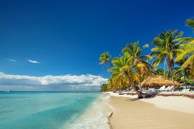 Full-Day Cruise to Saona Island - Natural Pool and Lunch - Whats Included & Whats Not