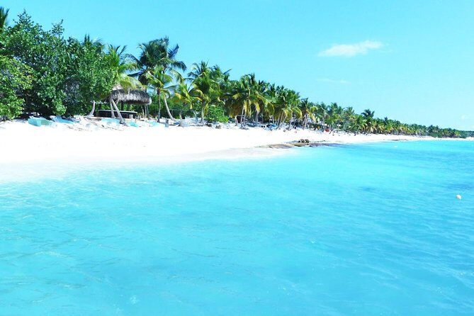 Full-Day Cruise to Saona Island - Natural Pool and Lunch - FAQs