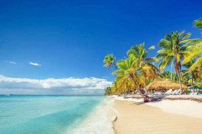 Full-Day Excursion in Saona Island - The Return and Party Time