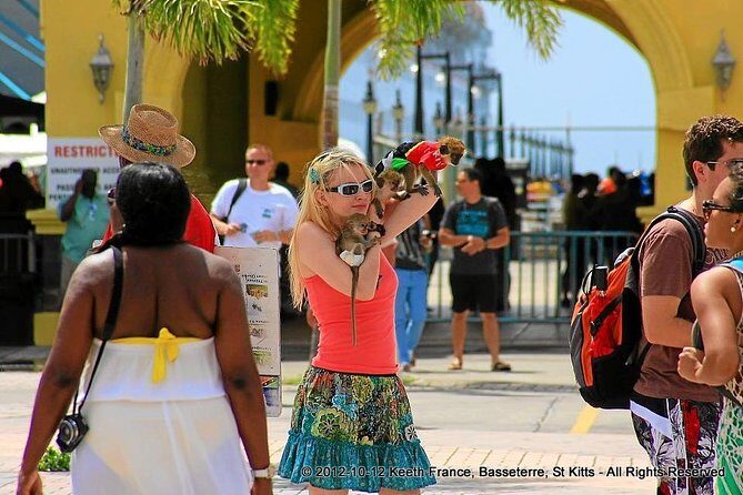 Full Island Panoramic Tour of St Kitts - Authentic Experiences and Common Praise