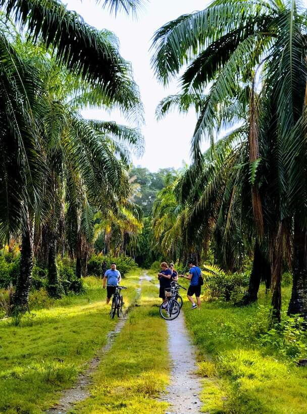 George Town, Penang: Malay Countryside Cycling - The Itinerary: What to Expect