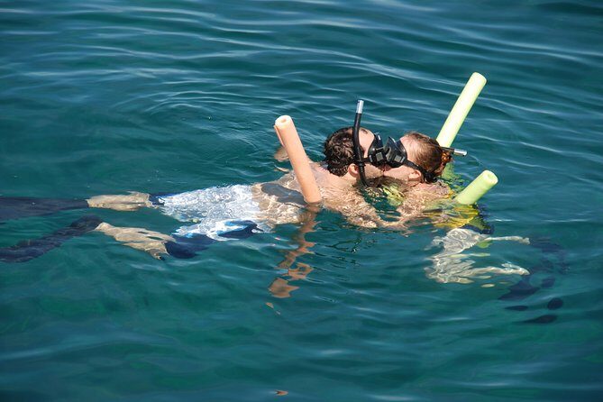 Glass Bottom Boat and Snorkeling Combo in Bermuda - Commonly Mentioned Highlights & Considerations