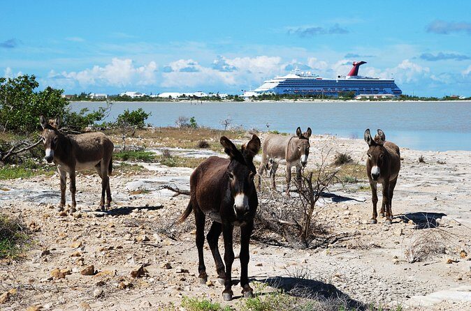 Grand Turk Historical Sightseeing Tour by Tram - The Experience in Practice