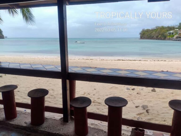 Grenada: Half-Day Island Tour with Waterfall Swim Stop - Transportation and Group Size