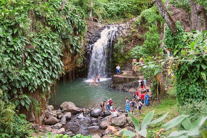 Grenada Spice Gardens, Rum & Chocolate Tour (Full/Half Day) - Key Points