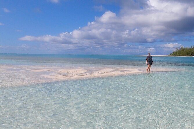 Group Reef, Beach and Sandbar Tour from Providenciales - Practical Details and Considerations