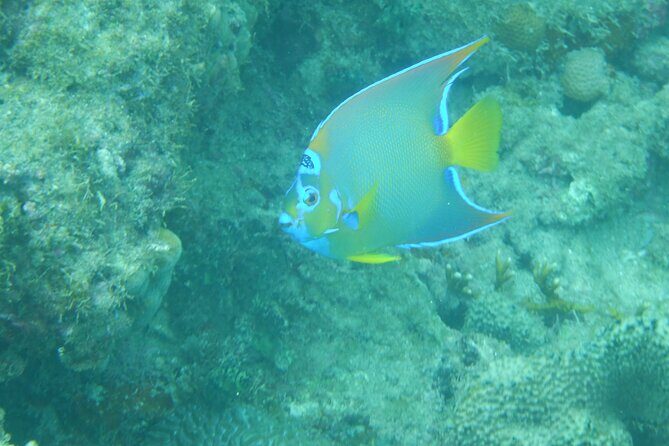 Guided Shore Diving Tour - Final Thoughts: Who Will Love This Tour?