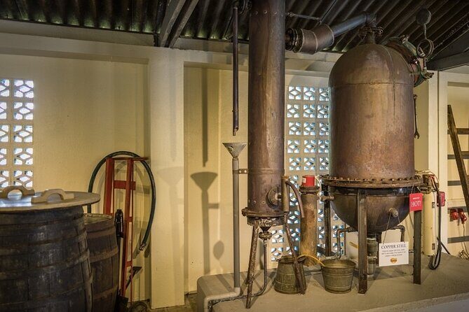Guided Tour at the Curaçao Liqueur Distillery - What to Expect from the Tour