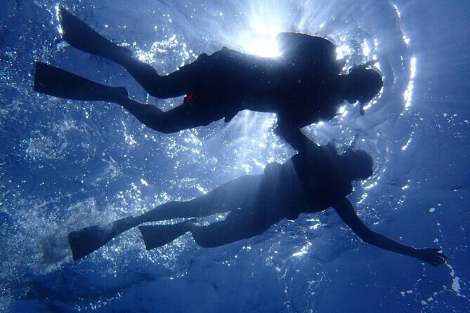 Guided Underwater Scooter and Snorkeling Activity in St. Thomas - What Could Be Better?