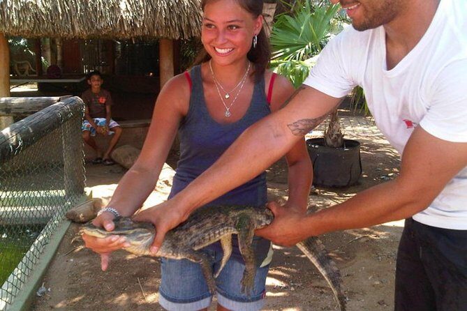 Half-Day Aruba Animal Sanctuary Guided Tour - The Value of the Tour: What Makes It Stand Out