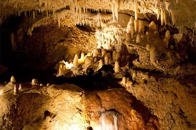 Half-Day Barbados Tour Harrisons Cave Hunte's Garden and Bathsheba - A Close Look at the Tour Experience