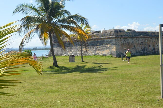 Half-Day Center of Puerto Rico Cultural Tour - Transportation, Pacing, and Group Size