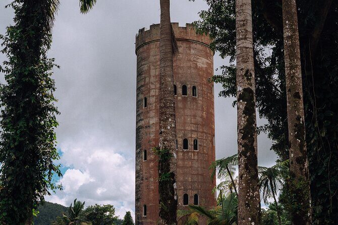 Half-Day El Yunque National Forest Tour from San Juan - Practical Tips for Travelers