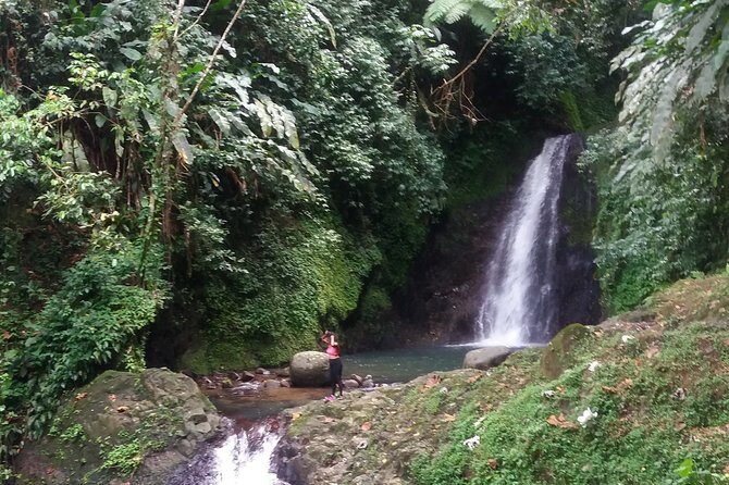 Half Day Grenada Seven Sisters, Grand Etang Nature Center Hiking Tour - What Makes This Tour Special
