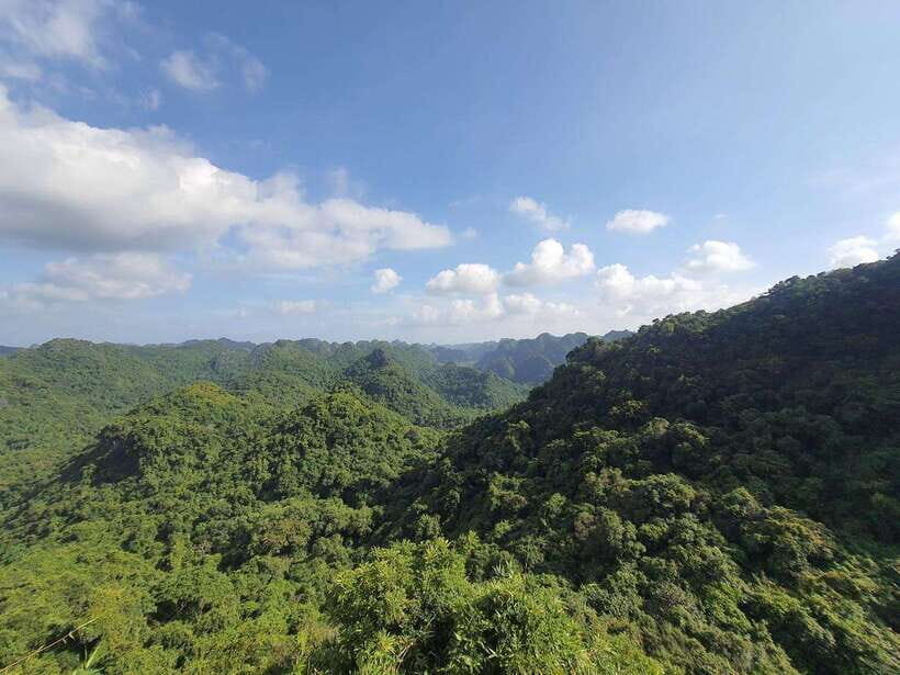 Half Day Hiking to Cat Ba National Park with a Guide - The Itinerary: A Closer Look