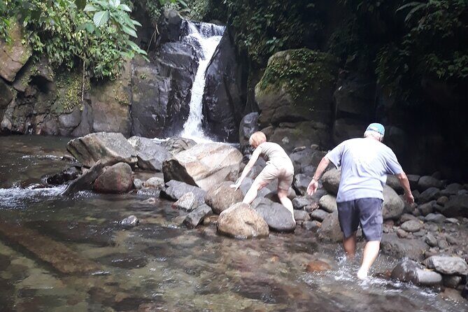 Half-Day Nature and Panorama Tour in Martinique - Transport and Group Size: Why It Matters