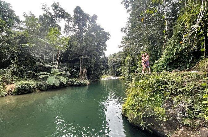 Half-Day Rainforest Tour with Transport from San Juan - Why This Tour Is a Great Value