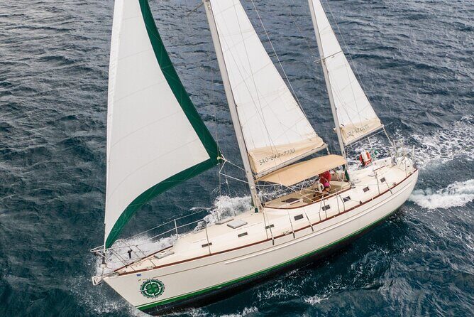 Half Day Sail and Snorkel with the Turtles - Who Will Love This Tour?