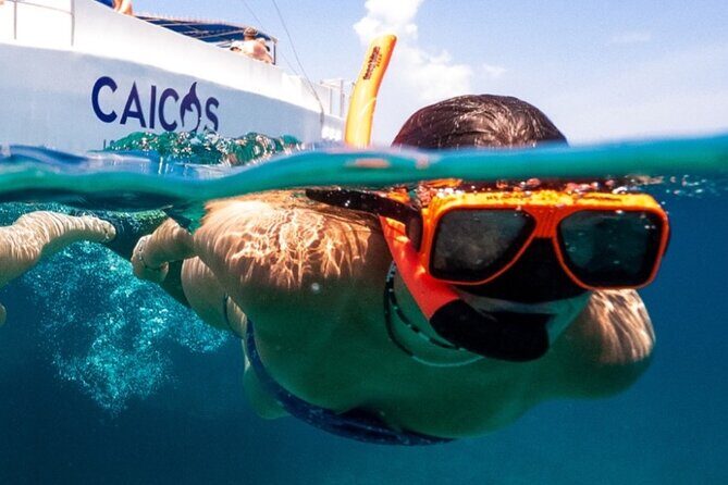 Half Day Snorkel from Providenciales with Visit to Half Moon Bay - Who Will Love This Tour?