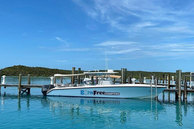 Half Day Swimming Pigs on Rose Island, Snorkeling and Lunch - Transportation, Group Size, and Practical Details