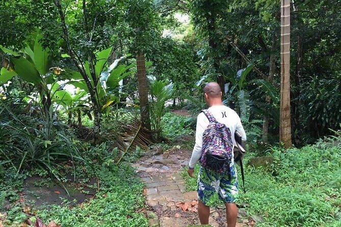 Half-Day Tour: El Yunque, Waterslides, and Luquillo Beach - Final Thoughts: Who Is This Tour For?