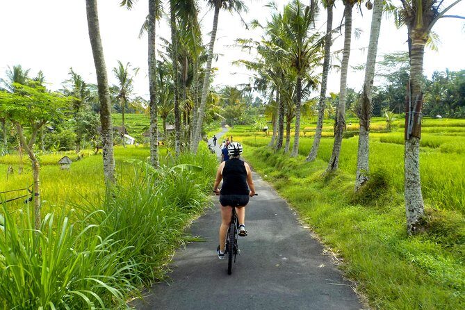 Half-Day Ubud Electric Cycling Tour to Tirta Empul Water Temple - The Sum Up