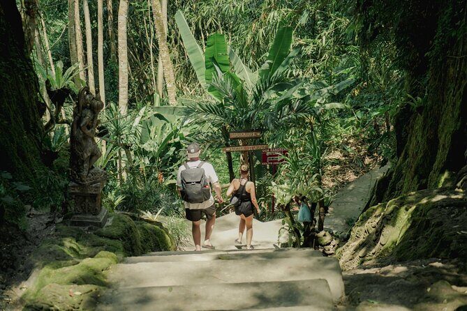 Half Day Ubud Waterfall Tour - The Experience and Why It Works