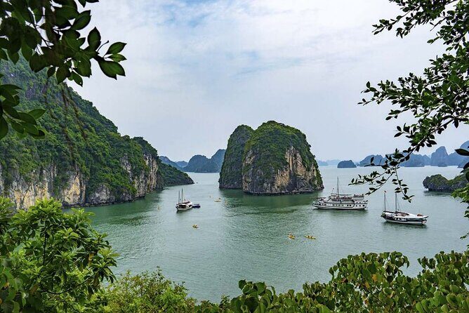 Halong Bay Cruise Luxury Full Day Tours - A Closer Look at the Experience