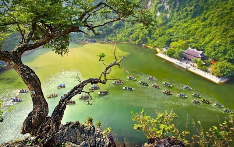Hanoi: Hoa Lu, Trang An, and Mua Cave Full-Day Trip - What Travelers Love
