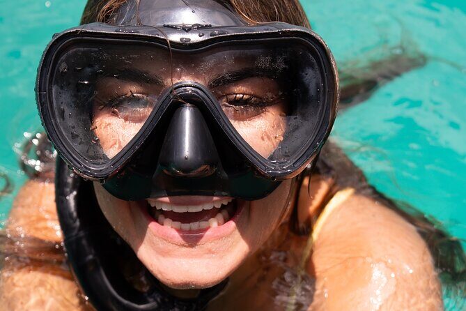 Harbour Lights-Chair &Turtle Shipwreck Snorkel Tour(10:30-1:30pm) - Why This Tour Works Well for You