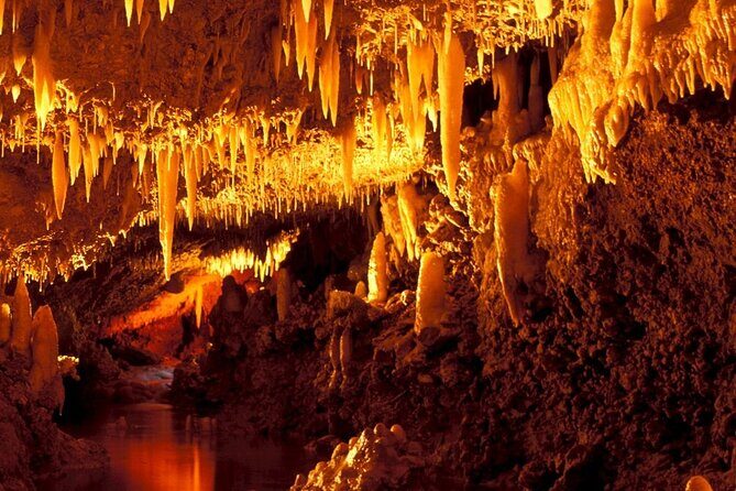 Harrison's Cave Tour in Barbados - Logistics and Practical Tips