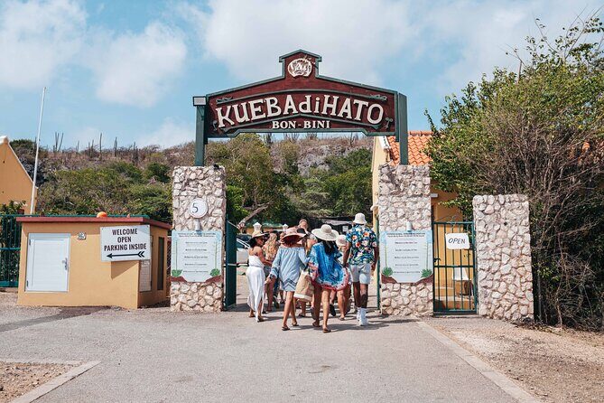 Hato Caves, Turtles & Beach - Snorkeling and Turtles at Playa Piskado: Close Encounters with Nature