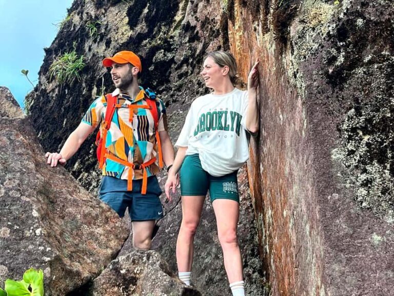 Hike St. Kitts: Highest peak Mount Liamuiga Volcano - A Closer Look at the Mount Liamuiga Trek