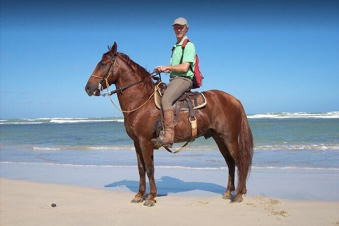 Horseback Riding Adventure Punta Cana - Who Is This Tour Best For?