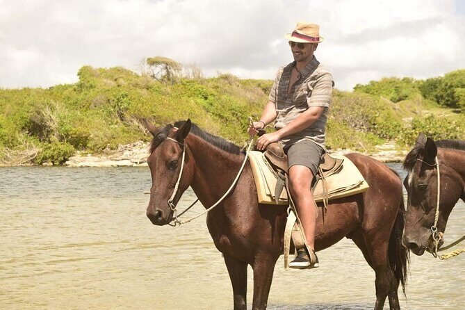 Horseback riding along Macao beach from Punta Cana - Logistics, Group Size, and Price