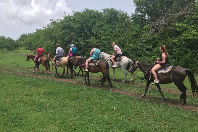 Horseback Riding Experience - Group Size, Pricing, and Booking