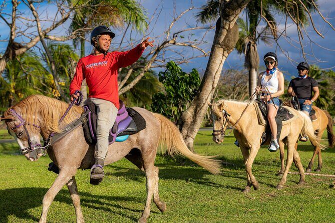 Horseback Riding Tour at Private Ranch - The Horses and Guides: What Makes This Special