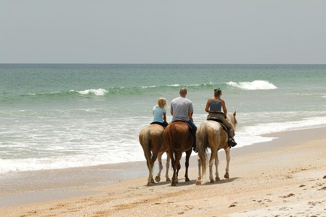 Horseback SPECIAL- Negrils Beach Ride N Swim with Free photos/videos - A Balanced View: Potential Drawbacks