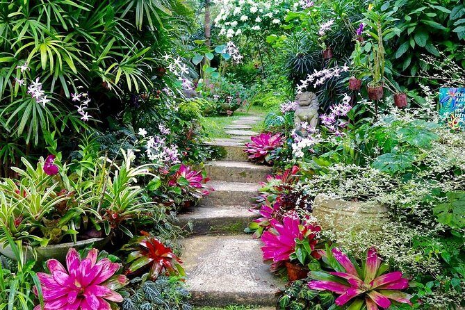 Hunte's Gardens - Why the Reviews Shine