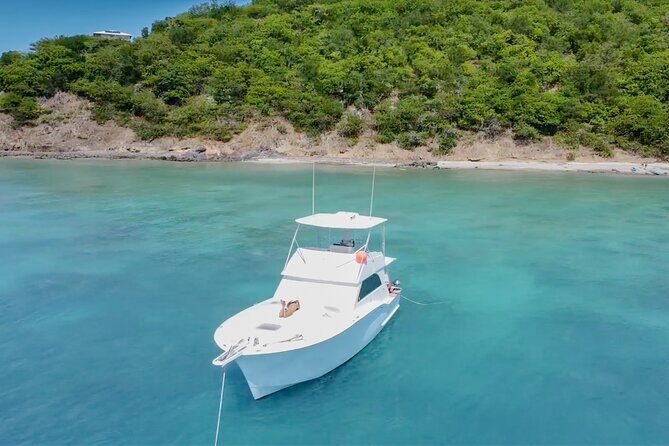 Icacos All-Inclusive Private Boat Tour - Special Rate for Groups - Deep Dive: What Makes This Tour Stand Out