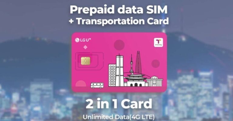 Incheon Airport: Traveler SIM & T-money Transportation Card - What to Expect at the Pickup Point