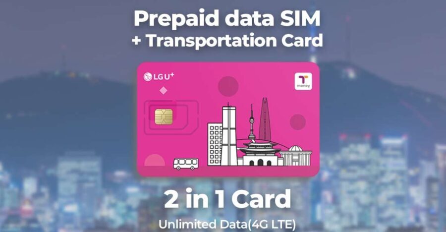 Incheon Airport: Traveler SIM & T-money Transportation Card - What to Expect at the Pickup Point