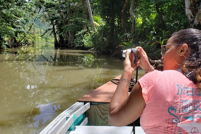 Indian River, Cold Soufriere & Fort Shirley (Northern Excursion) - The Balance: Pros and Cons