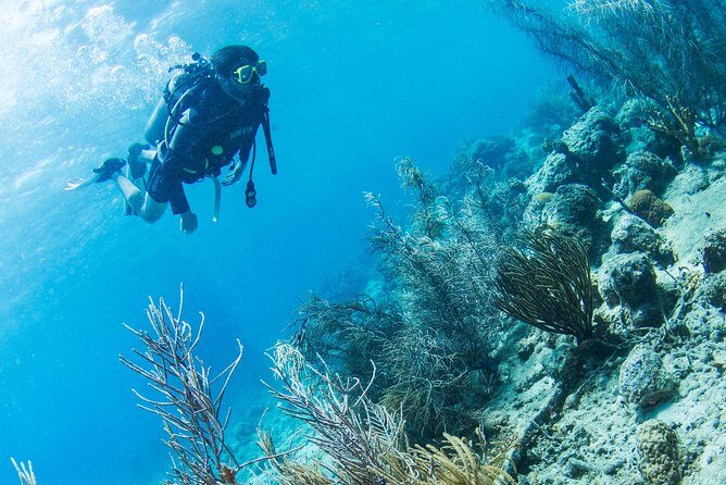 Introduction Shore Dive with Scubaçao (1 dive) - A Day in the Life: What to Expect