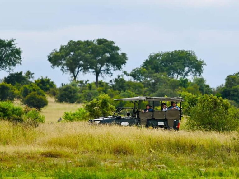 Jaipur: Jhalana Amagarh Leopard Reserve 4×4 Jeep Safari - Pricing and Value